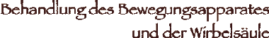 Behandlung des Bewegungsapparates und der Wirbelsäule